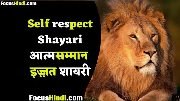2 line Shayari on self respect in hindi